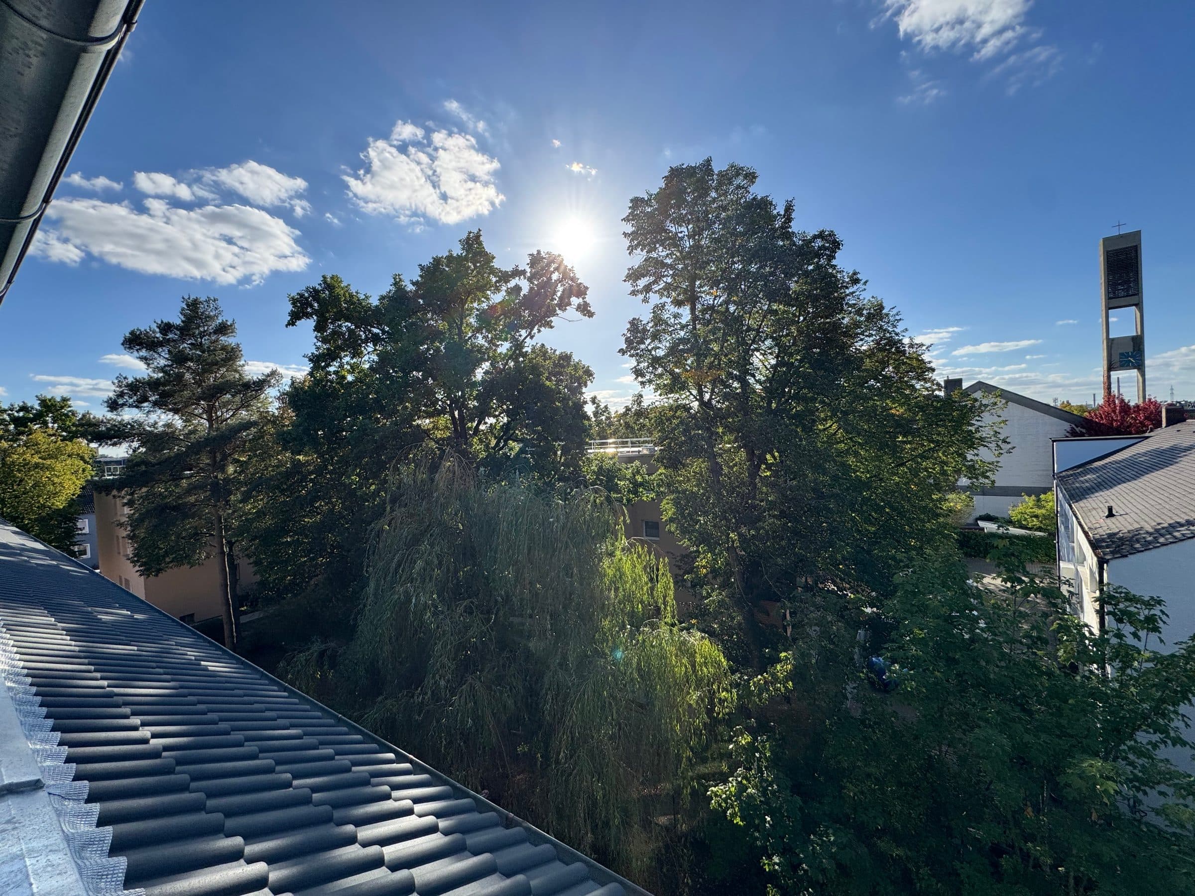 Blick aus dem Dachfenster über die Baumkronen