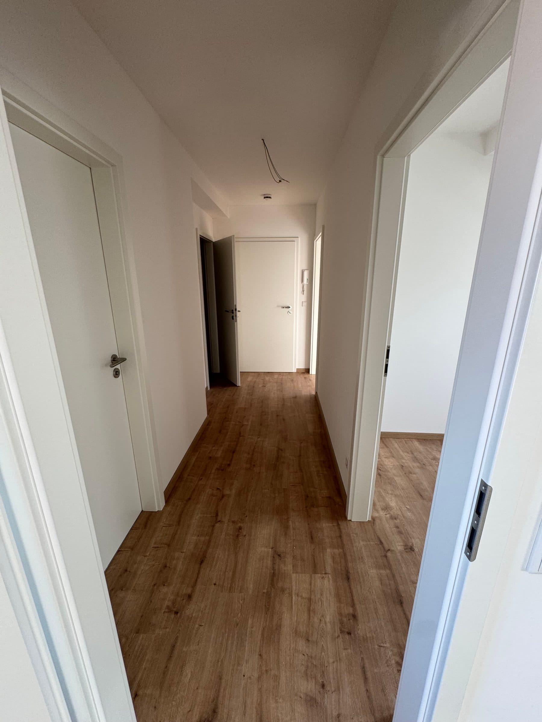 Diele mit Holzboden und weißen Türen